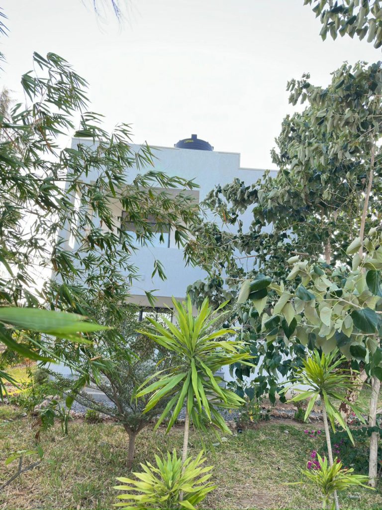 WhatsApp Image 2026 02 02 at 2.29.17 PM