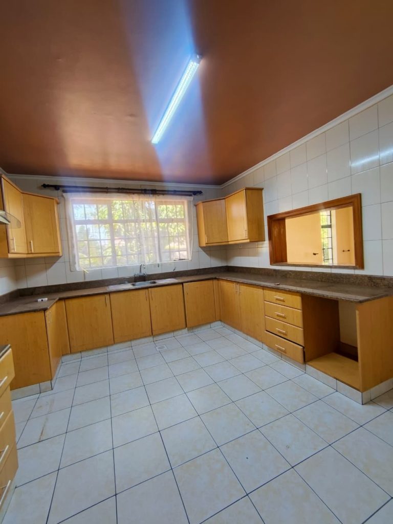 WhatsApp Image 2026 02 05 at 10.02.23 AM