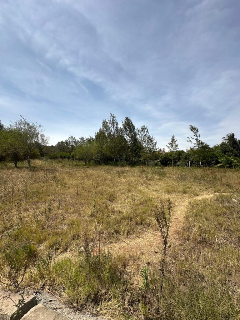 WhatsApp Image 2026 02 06 at 11.40.06 PM 28