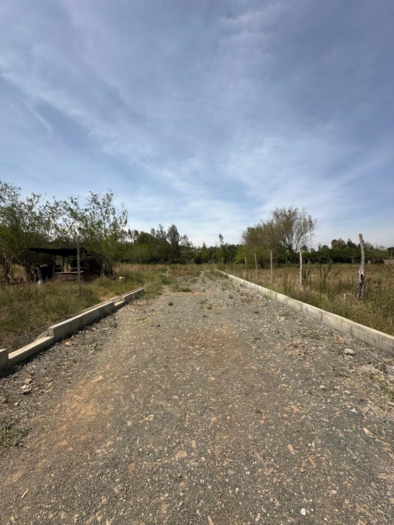 WhatsApp Image 2026 02 06 at 11.40.06 PM 32