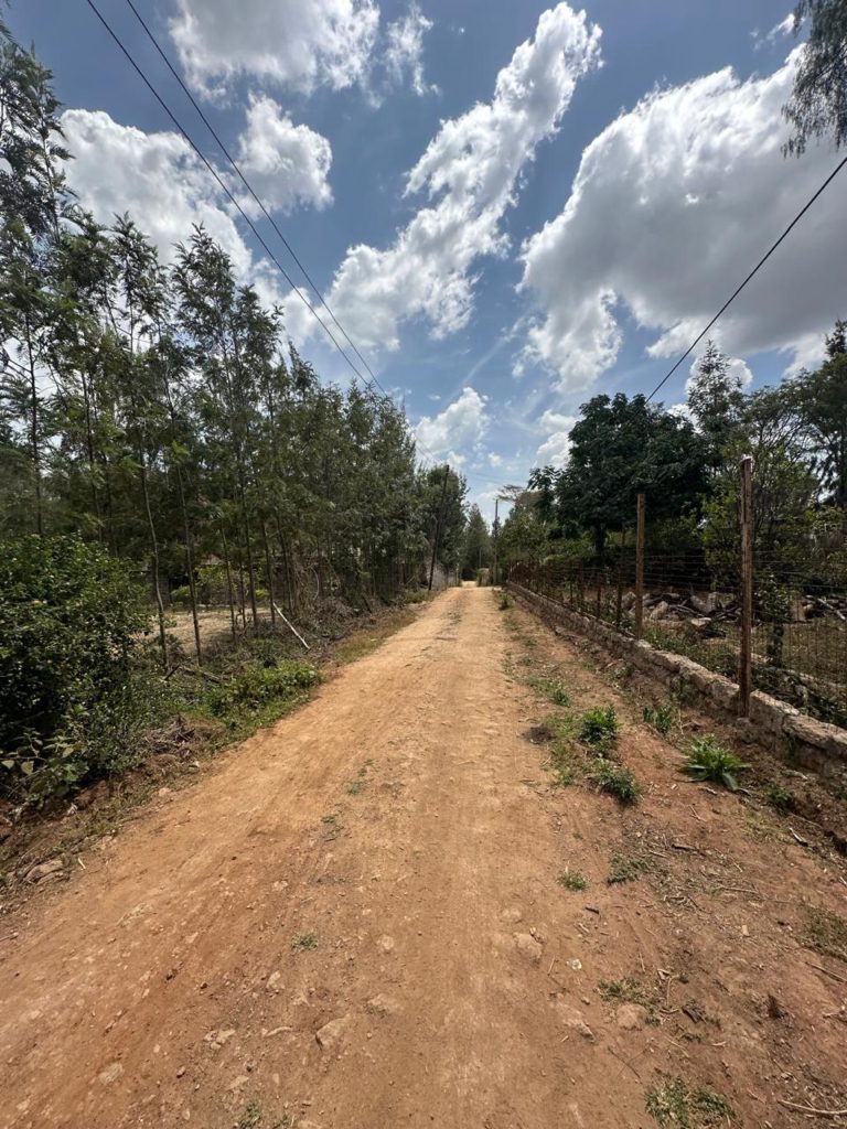 WhatsApp Image 2026 02 07 at 10.17.24 PM