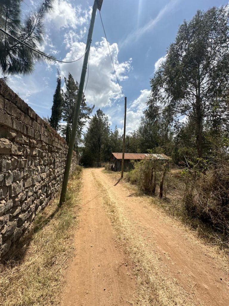 WhatsApp Image 2026 02 07 at 10.17.25 PM 3