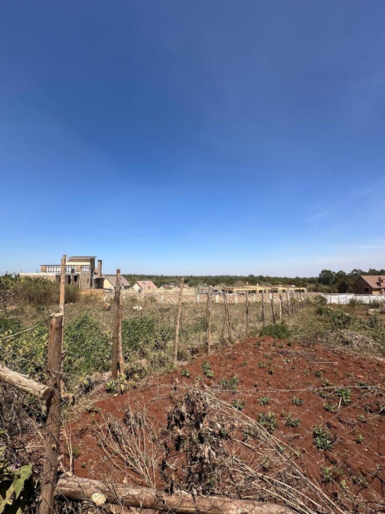 WhatsApp Image 2026 02 07 at 10.46.17 PM 2