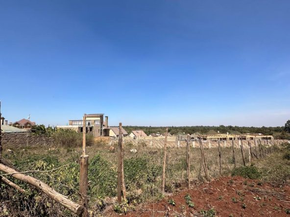 WhatsApp Image 2026 02 07 at 10.46.17 PM 3