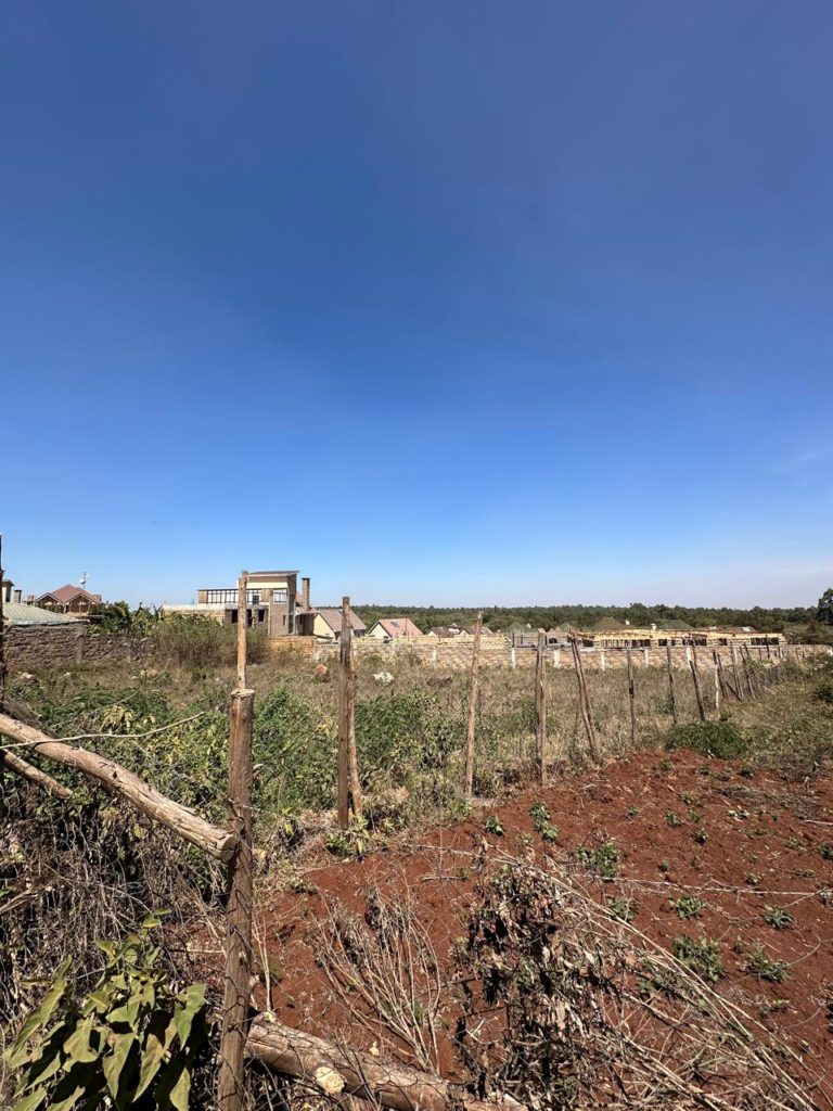 WhatsApp Image 2026 02 07 at 10.46.17 PM 3