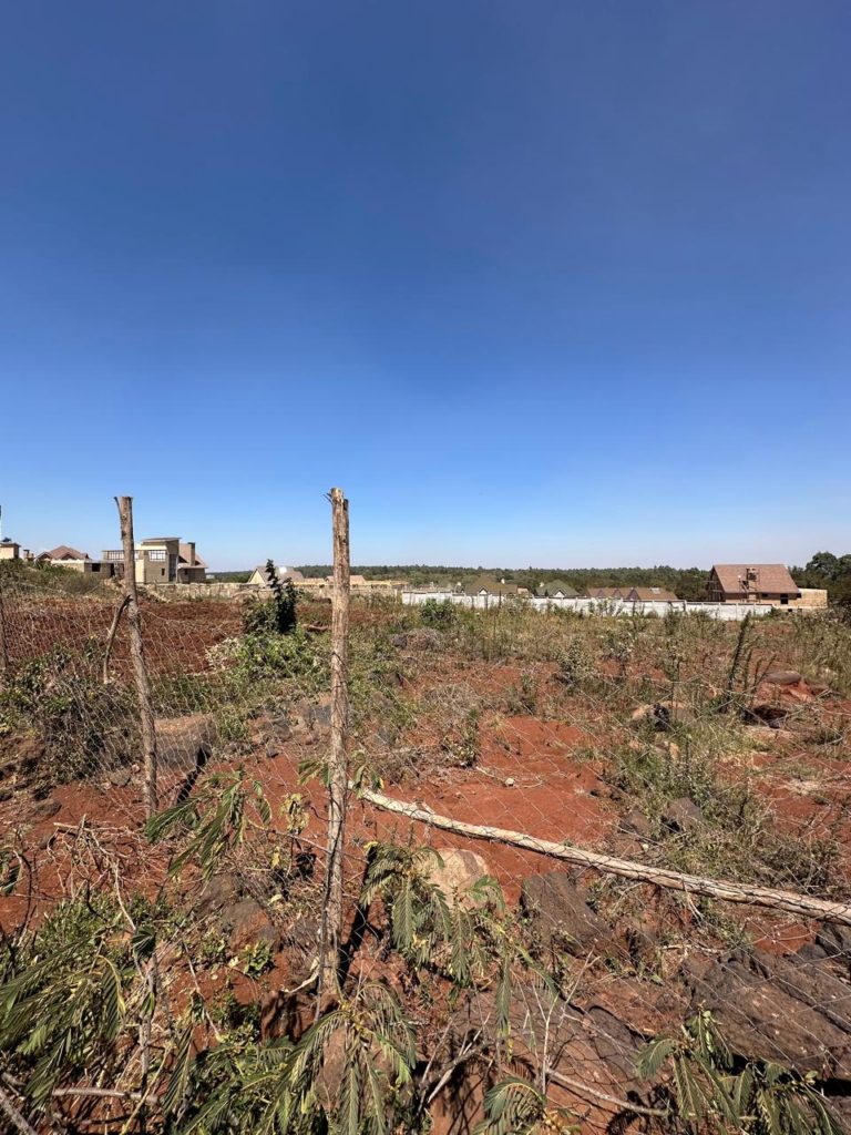 WhatsApp Image 2026 02 07 at 10.46.17 PM 7