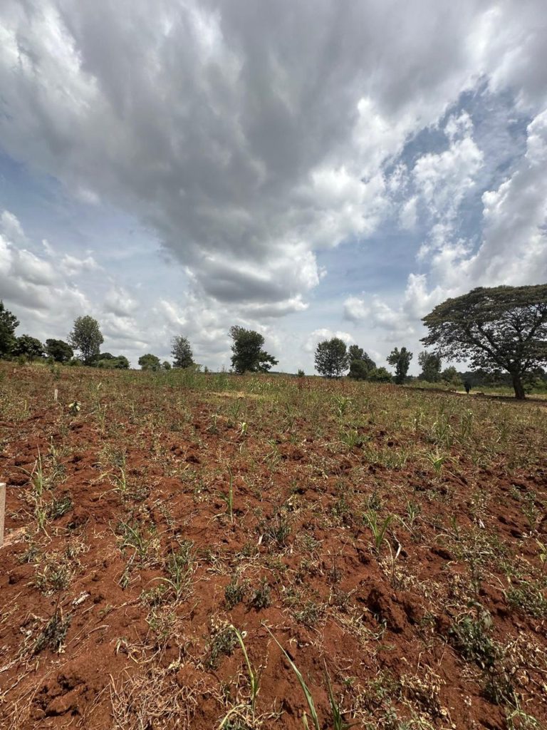 WhatsApp Image 2026 02 07 at 11.33.58 PM 10