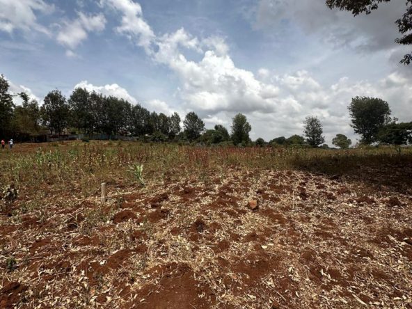 WhatsApp Image 2026 02 07 at 11.33.58 PM 2