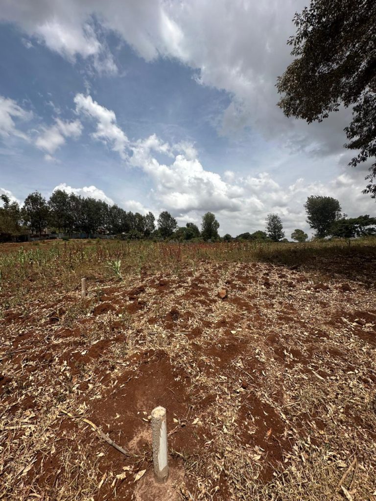 WhatsApp Image 2026 02 07 at 11.33.58 PM 3