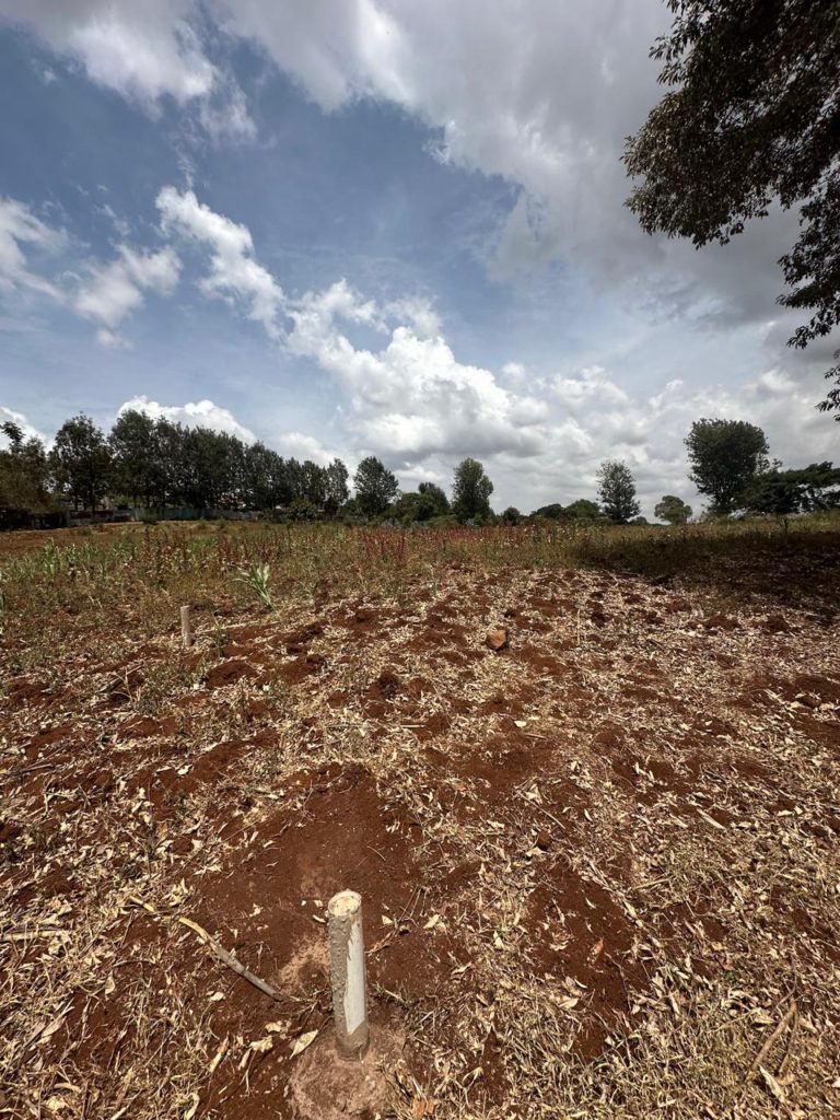 WhatsApp Image 2026 02 07 at 11.33.58 PM 6