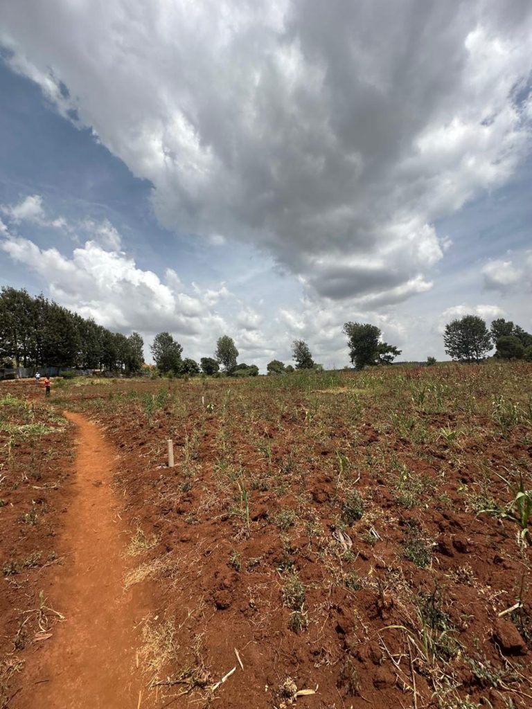 WhatsApp Image 2026 02 07 at 11.33.58 PM 7