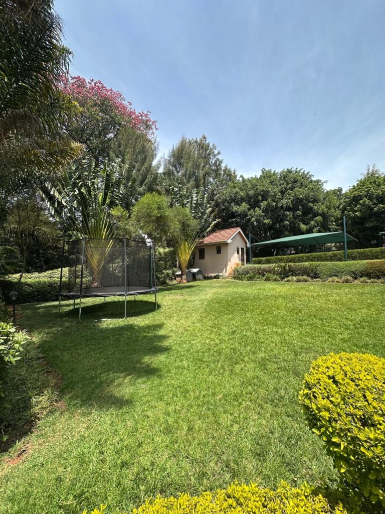 WhatsApp Image 2026 02 07 at 12.08.57 AM