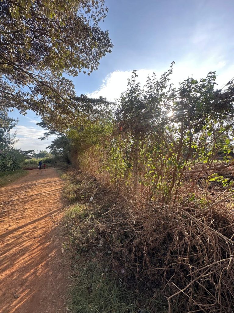 land for sale Runda