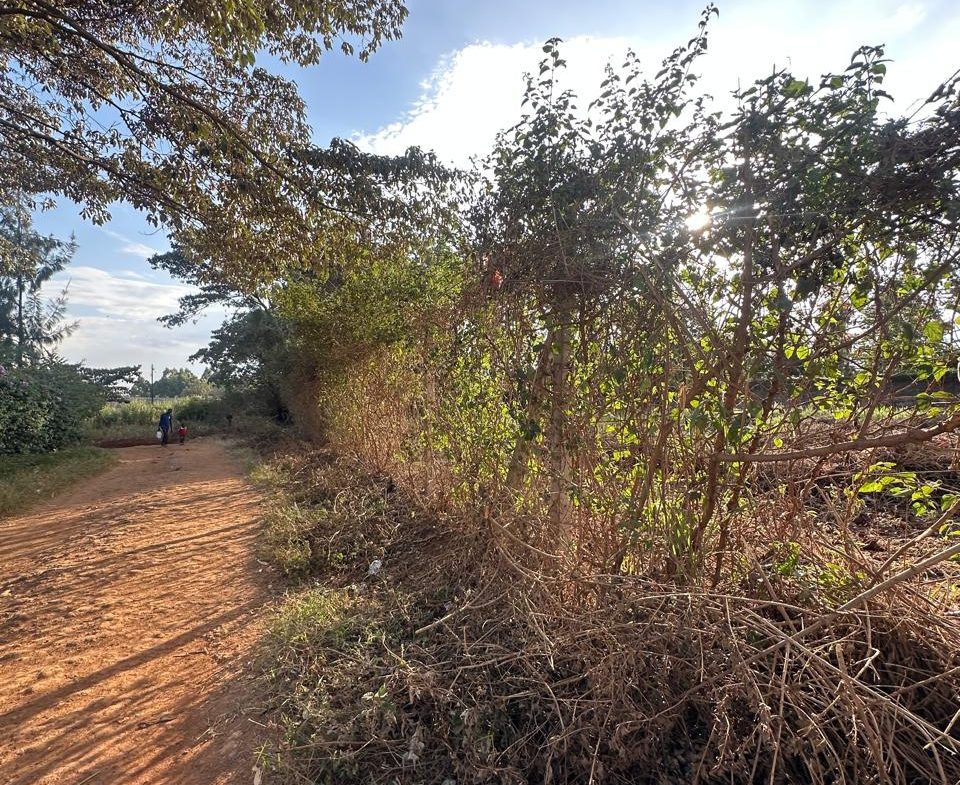 land for sale Runda