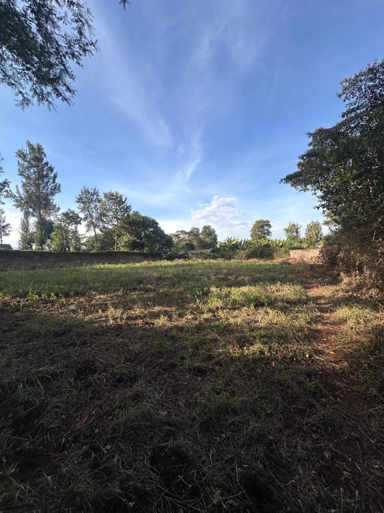 WhatsApp Image 2026 02 07 at 9.05.25 PM 2