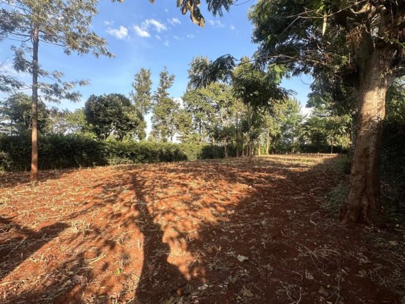 WhatsApp Image 2026 02 07 at 9.12.23 PM 4