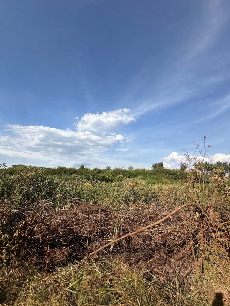 WhatsApp Image 2026 02 07 at 9.49.38 PM 2