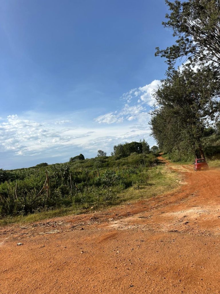 WhatsApp Image 2026 02 07 at 9.49.41 PM 1