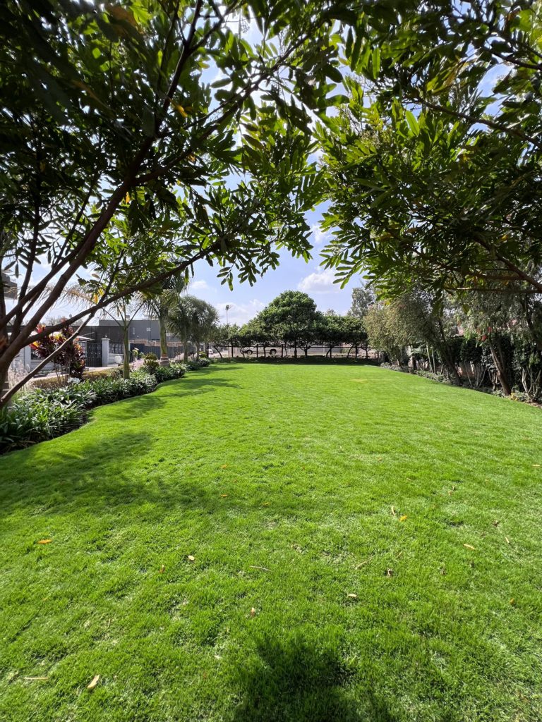 WhatsApp Image 2026 02 13 at 9.02.22 AM