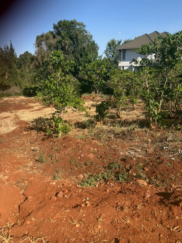 WhatsApp Image 2026 02 16 at 2.36.41 PM