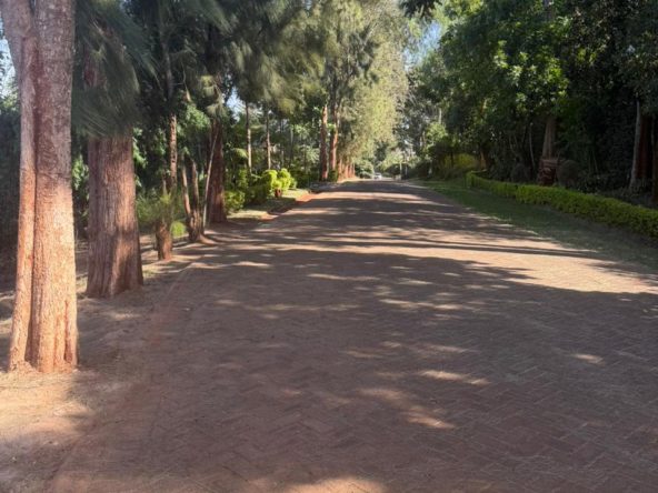 WhatsApp Image 2026 02 16 at 2.36.43 PM