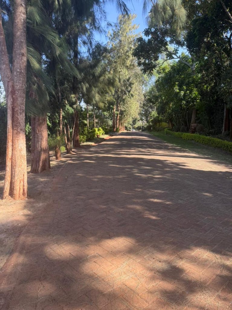 WhatsApp Image 2026 02 16 at 2.36.43 PM