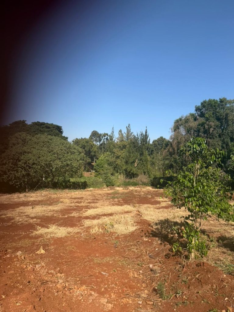 WhatsApp Image 2026 02 16 at 2.36.46 PM 1