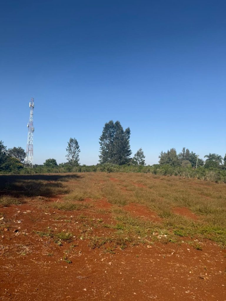 WhatsApp Image 2026 02 16 at 2.36.46 PM