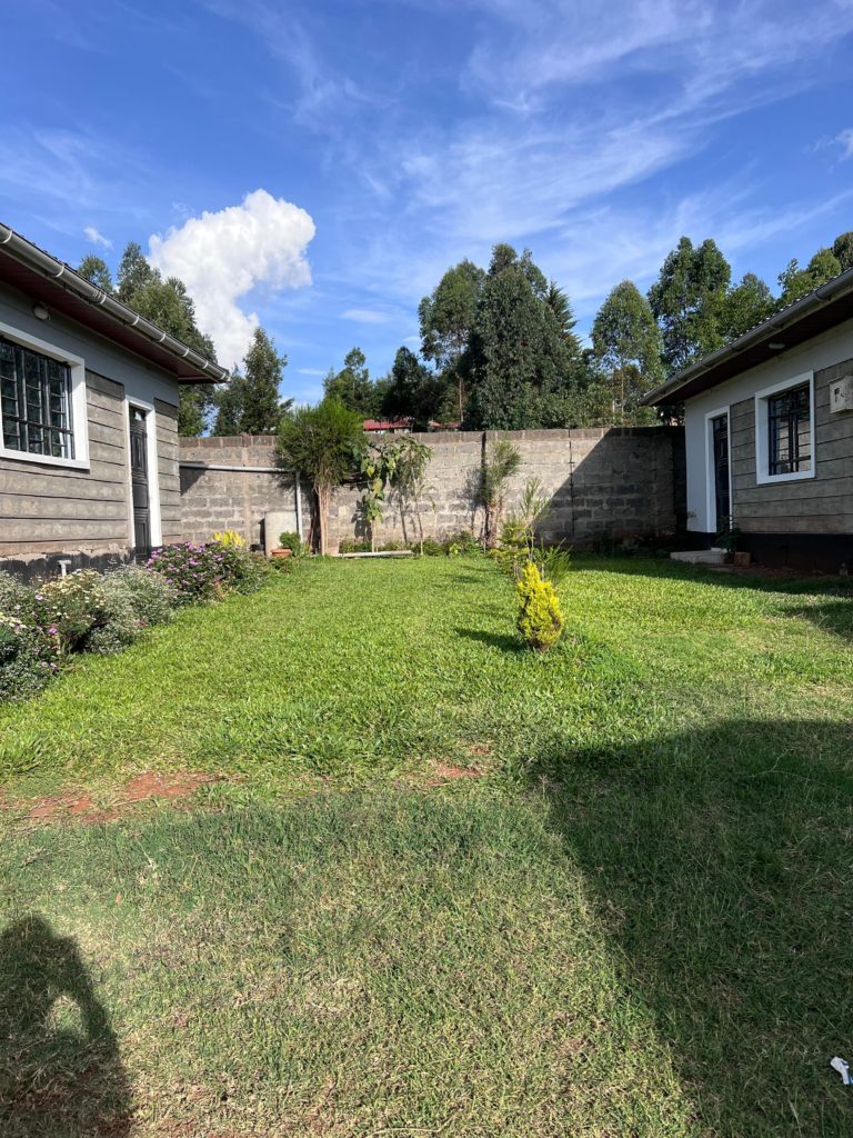 WhatsApp Image 2026 02 19 at 11.55.15 AM