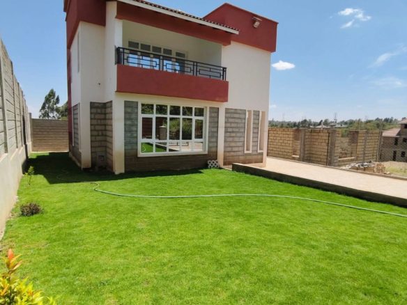 WhatsApp Image 2026 02 24 at 3.41.34 PM 4