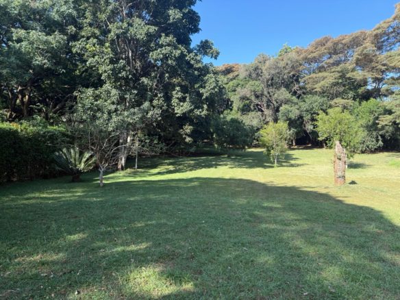 WhatsApp Image 2026 02 27 at 7.24.41 PM 1