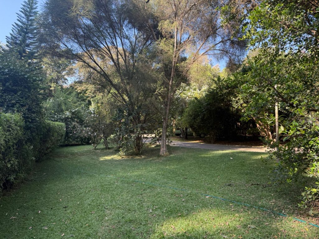 WhatsApp Image 2026 02 27 at 7.24.41 PM