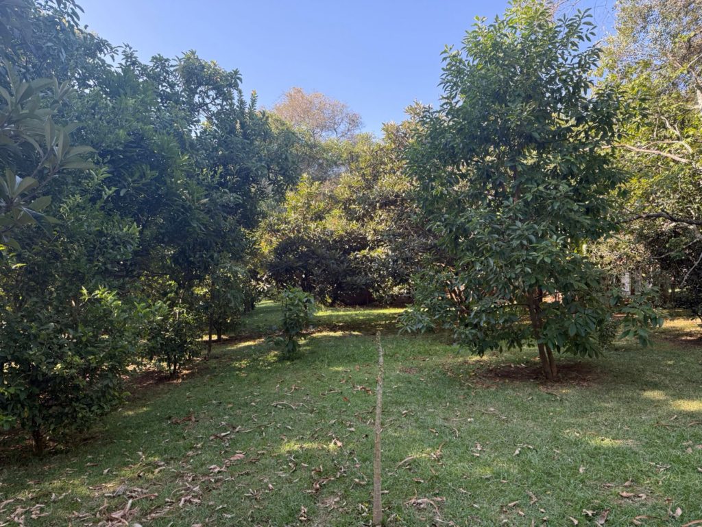 WhatsApp Image 2026 02 27 at 7.24.42 PM