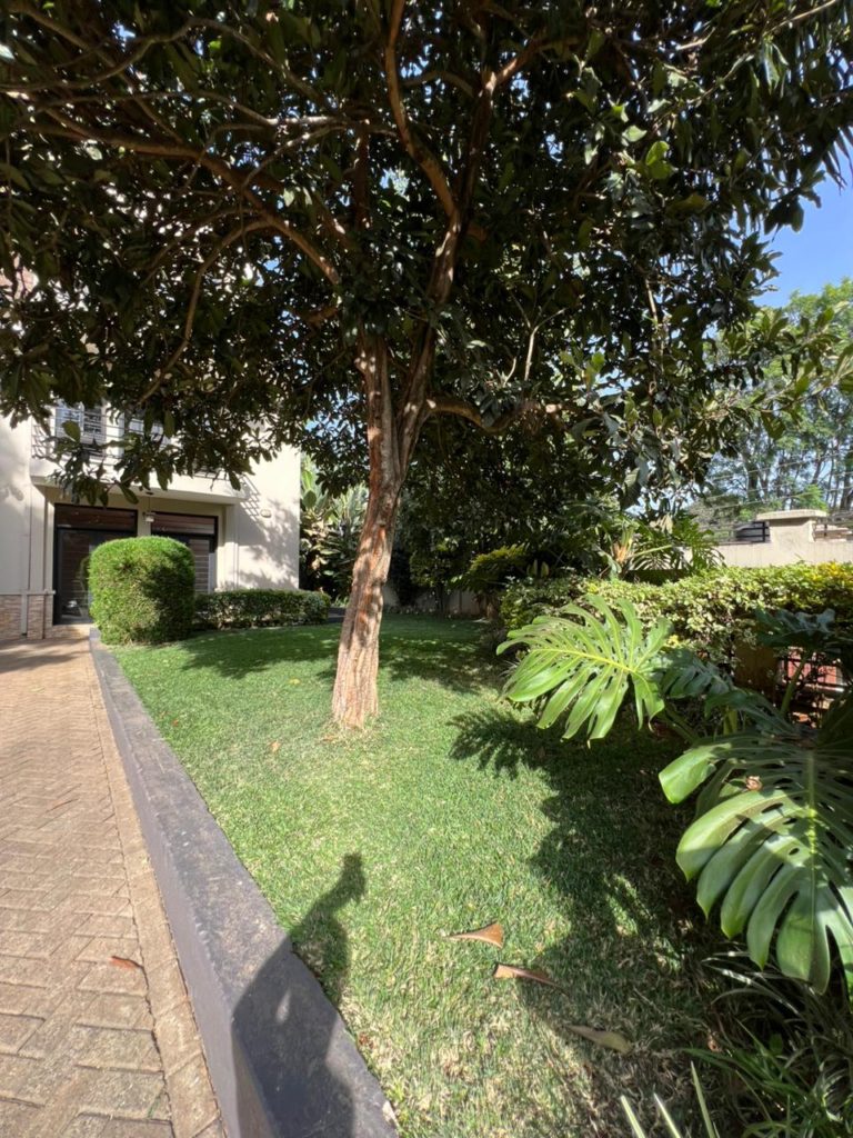 WhatsApp Image 2026 03 04 at 9.22.33 AM