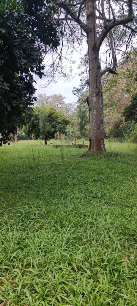 WhatsApp Image 2026 03 12 at 3.38.36 PM 1