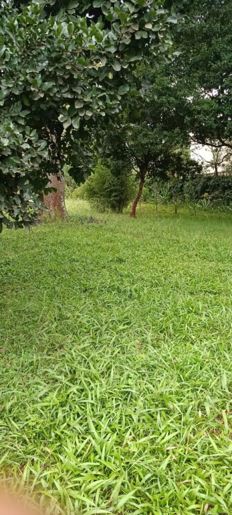 WhatsApp Image 2026 03 12 at 3.38.36 PM 2