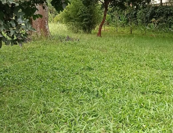 WhatsApp Image 2026 03 12 at 3.38.36 PM 2