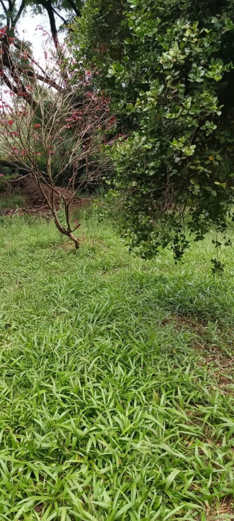 WhatsApp Image 2026 03 12 at 3.38.37 PM