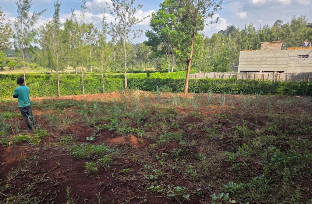 WhatsApp Image 2026 03 13 at 10.10.08 AM 1