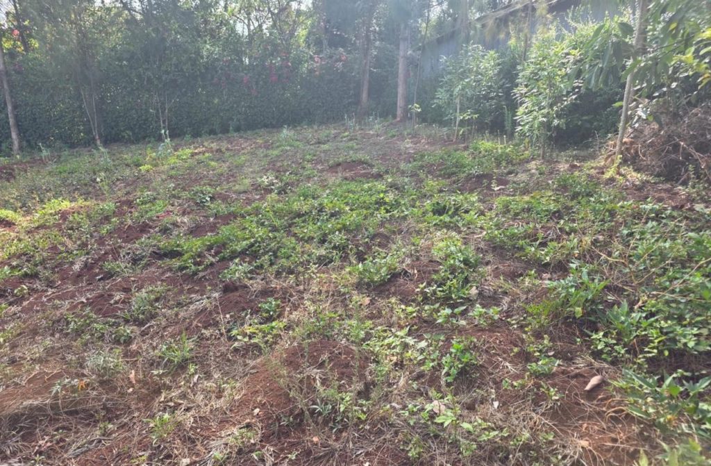 WhatsApp Image 2026 03 13 at 10.10.08 AM