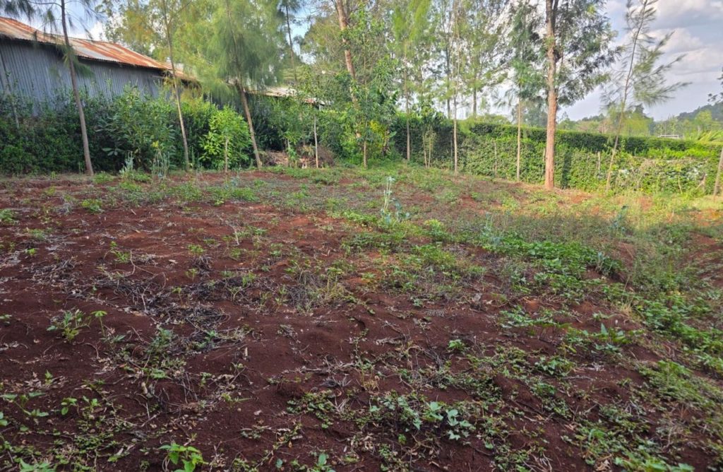 WhatsApp Image 2026 03 13 at 10.10.08 AM 3