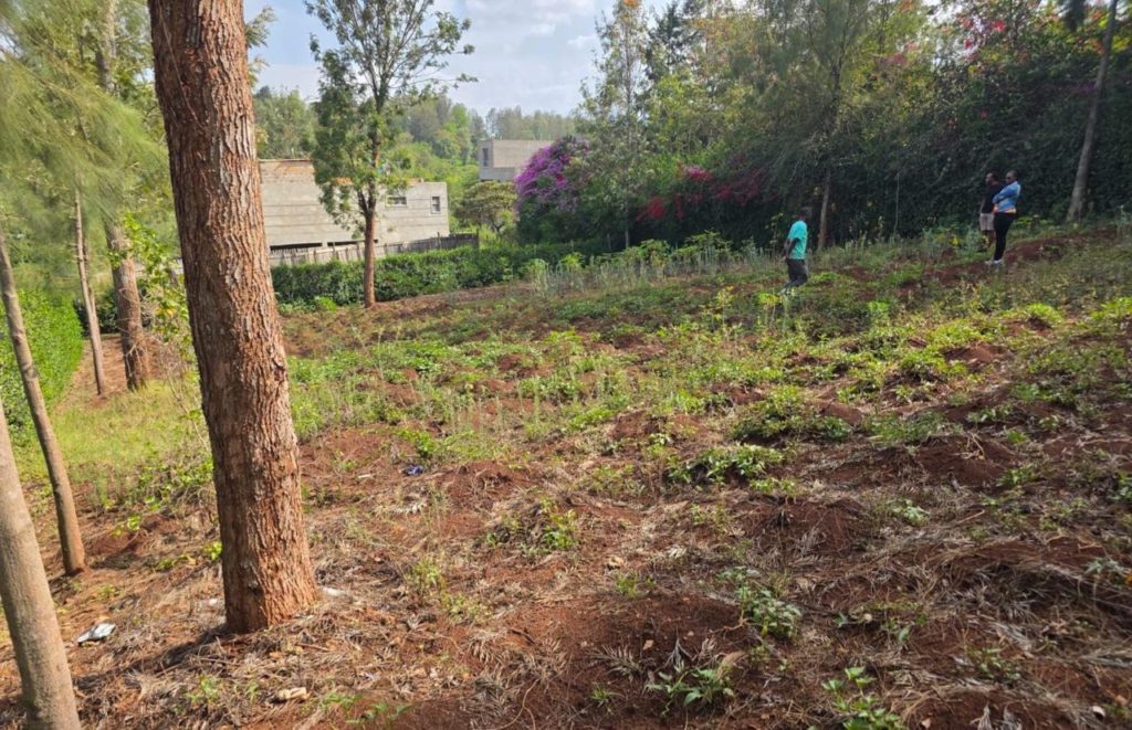 WhatsApp Image 2026 03 13 at 10.10.08 AM 4