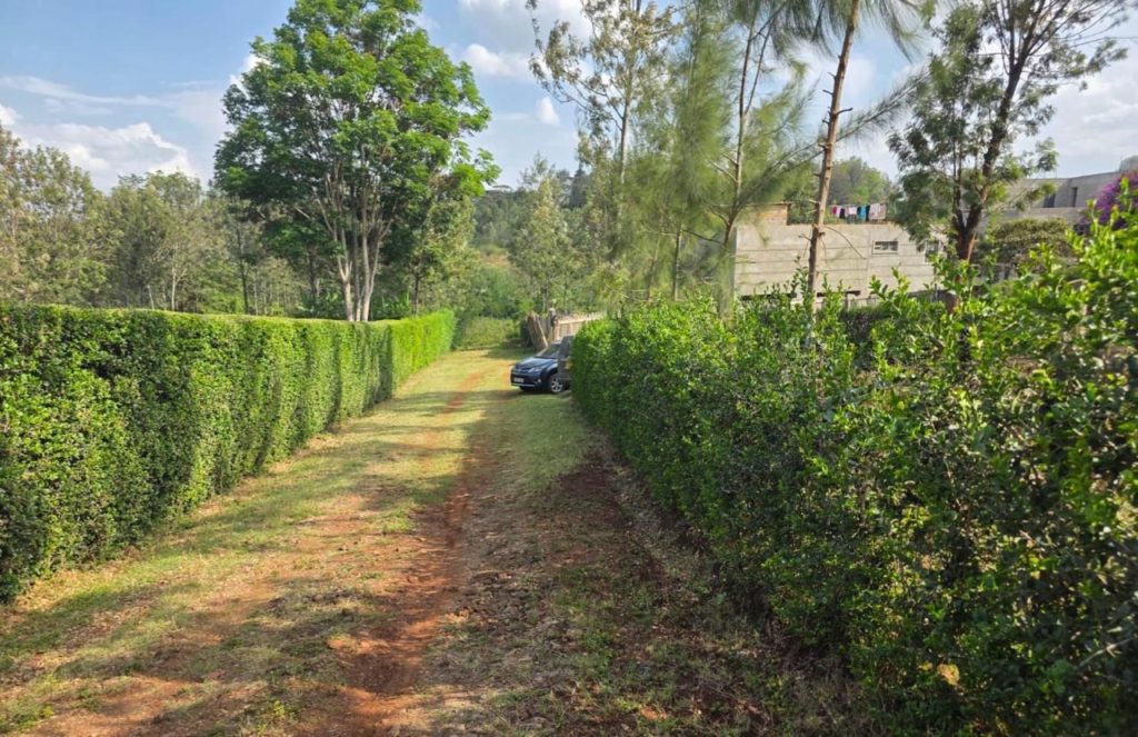 WhatsApp Image 2026 03 13 at 10.10.08 AM 5