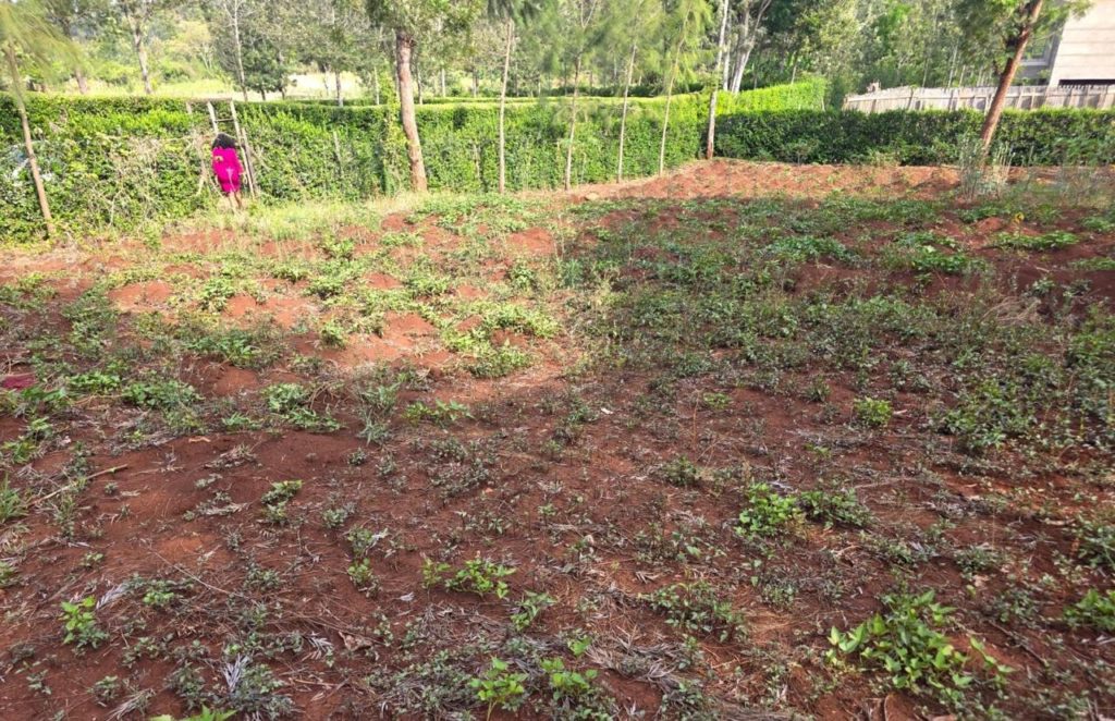 WhatsApp Image 2026 03 13 at 10.10.09 AM