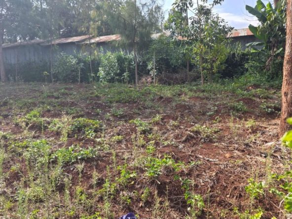 WhatsApp Image 2026 03 13 at 10.10.09 AM 3