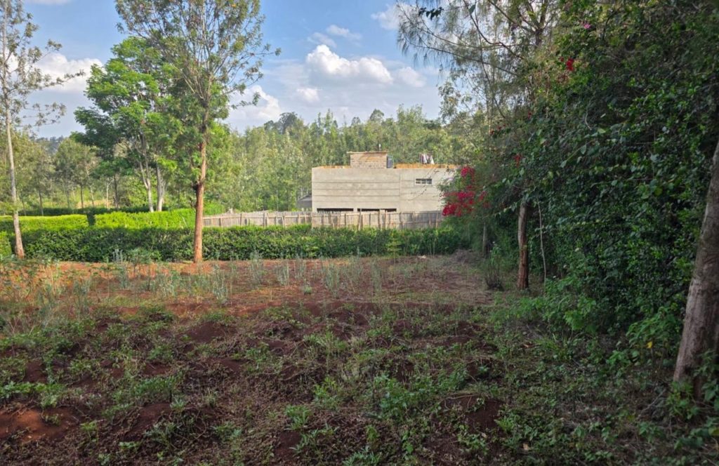 WhatsApp Image 2026 03 13 at 10.10.09 AM 4