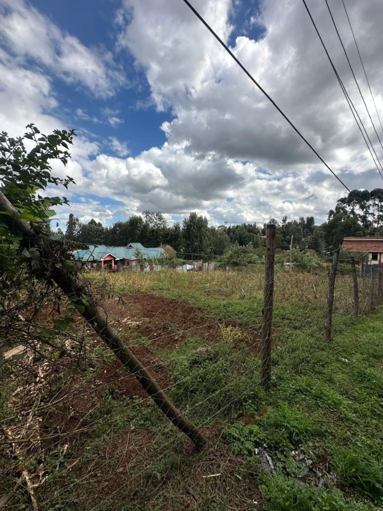 WhatsApp Image 2026 03 13 at 10.45.49 AM 2