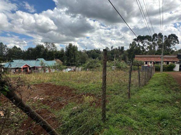 WhatsApp Image 2026 03 13 at 10.45.49 AM 3