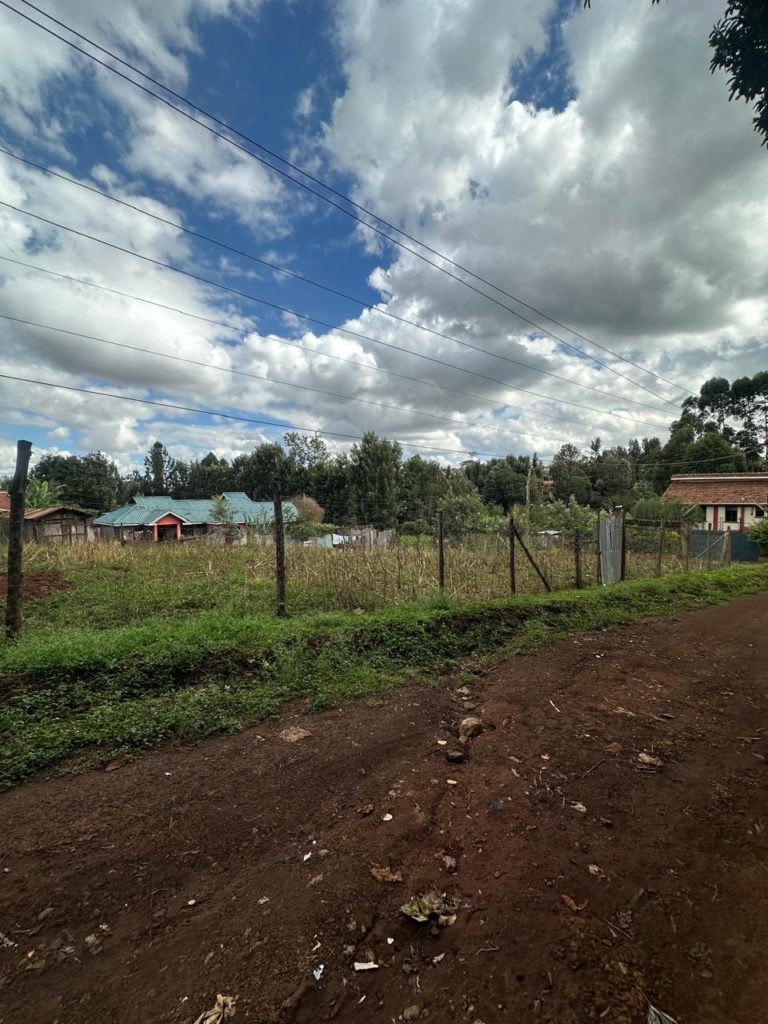 WhatsApp Image 2026 03 13 at 10.45.49 AM 5