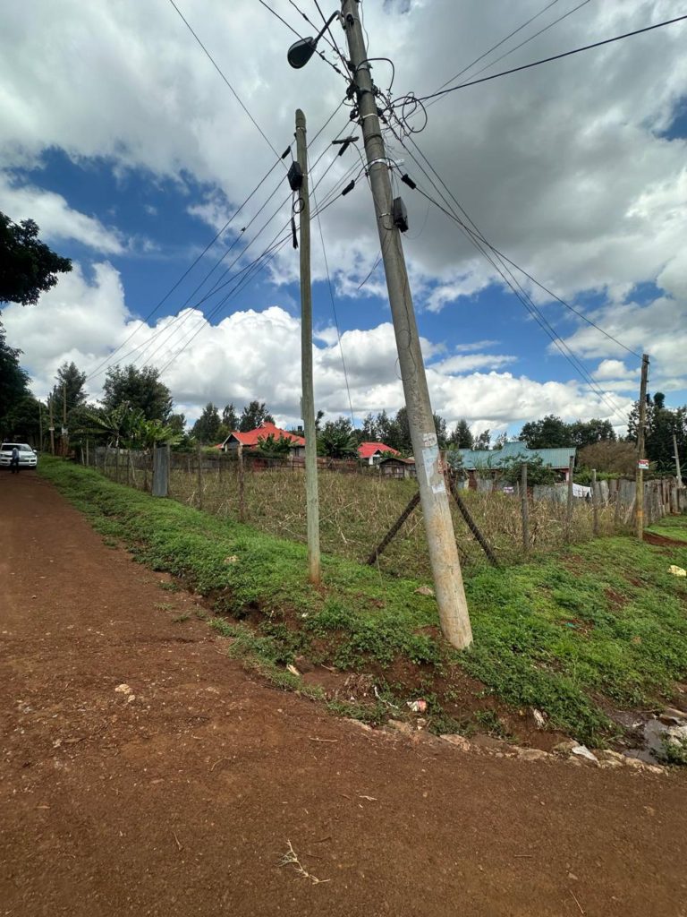 WhatsApp Image 2026 03 13 at 10.45.49 AM 6